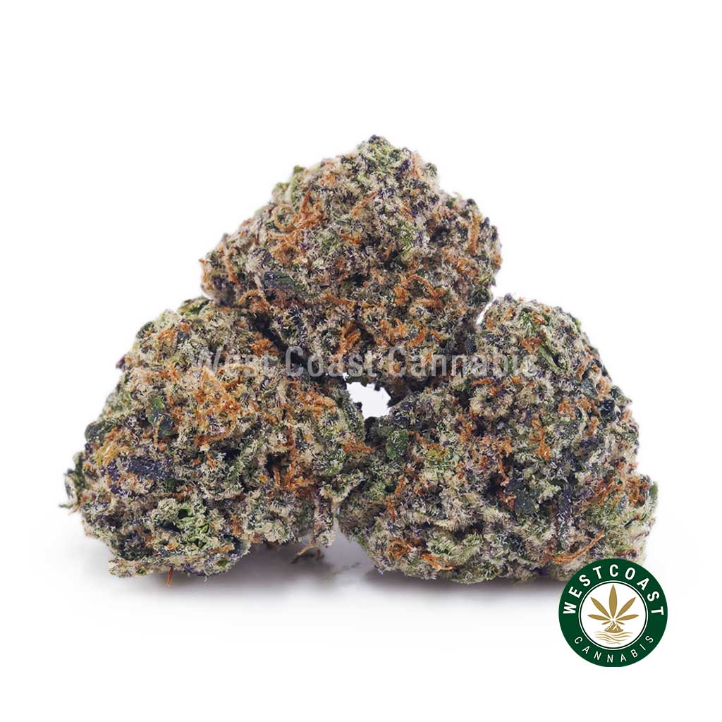 Purple Rose AAAA (Popcorn Nugs) product image