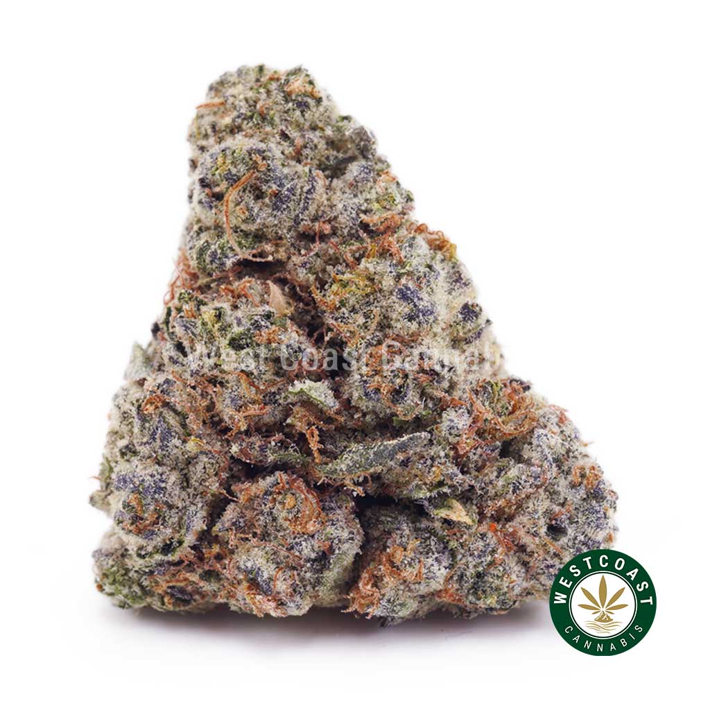 Rock Tuna AA product image