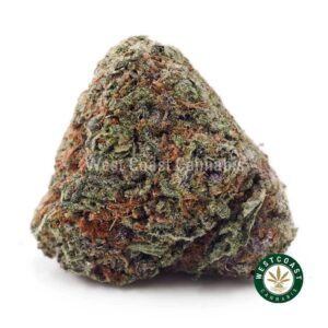 Scooby Snacks AAA product image