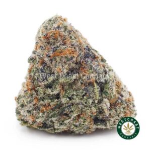Stargazer OG AAA product image