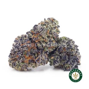 Sugar Cookies AAAA (Popcorn Nugs) product image