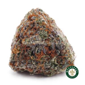 Sundae Driver AAAA product image