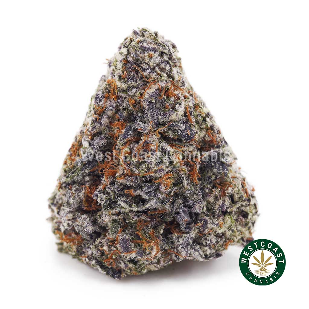 Super Orange Creamsicle AAAA+ product image
