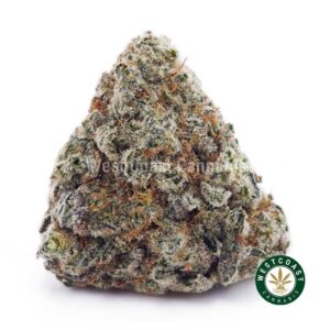 Super Silver Haze AAAA product image