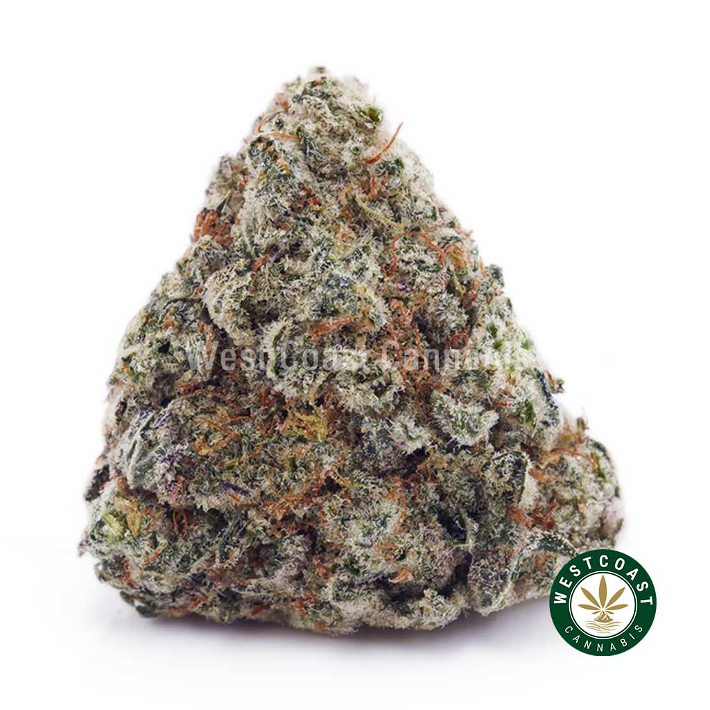 Super Silver Haze AAAA product image