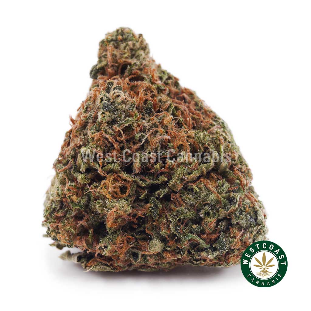 Trainwreck AA product image