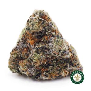 Hawaiian Pink Punch AAAA product image