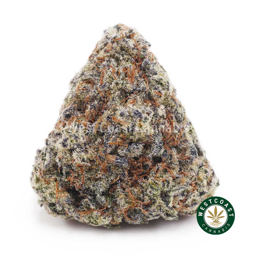 White Biscotti AAAA product image