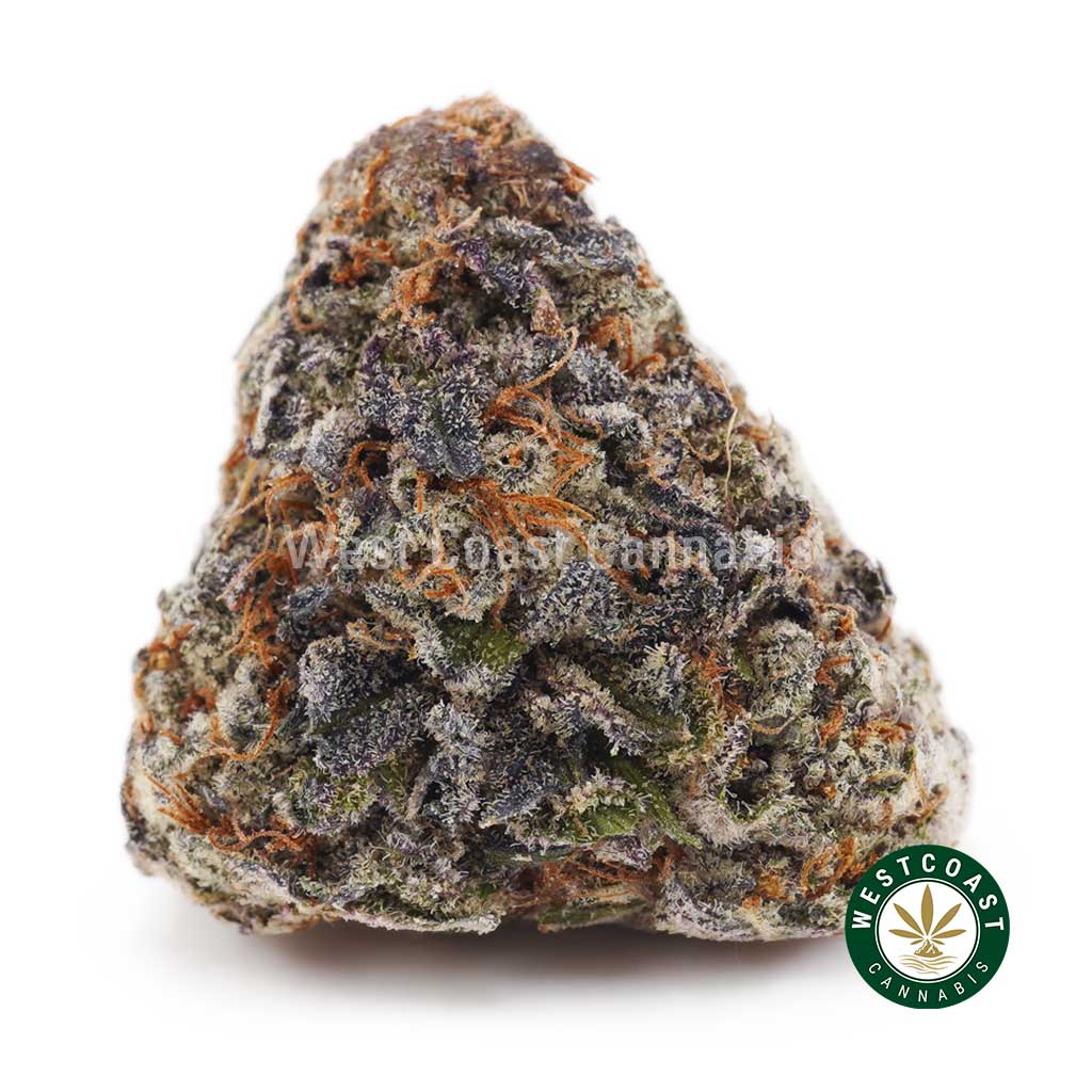White Cherry Gelato AAAA+ product image