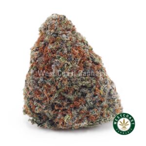 White Widow AAAA product image