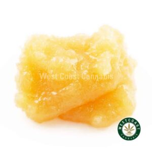 Caviar – Gelato #33 (Hybrid) product image