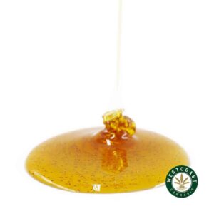 Honey Oil – Gusher (Indica) product image