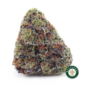 Snoop’s Dream AAAA product image