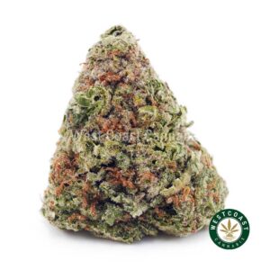 Gummy Bearz AAA product image