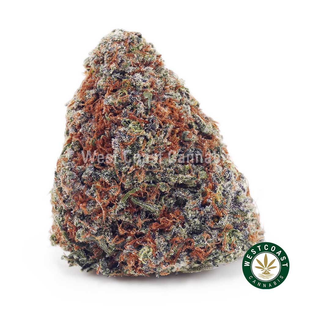 Orange Cookies AAAA product image