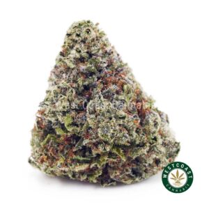 Rainbow Runtz AAA product image