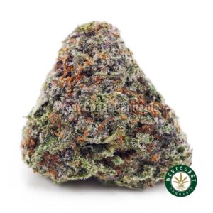 Purple Kush AAA product image