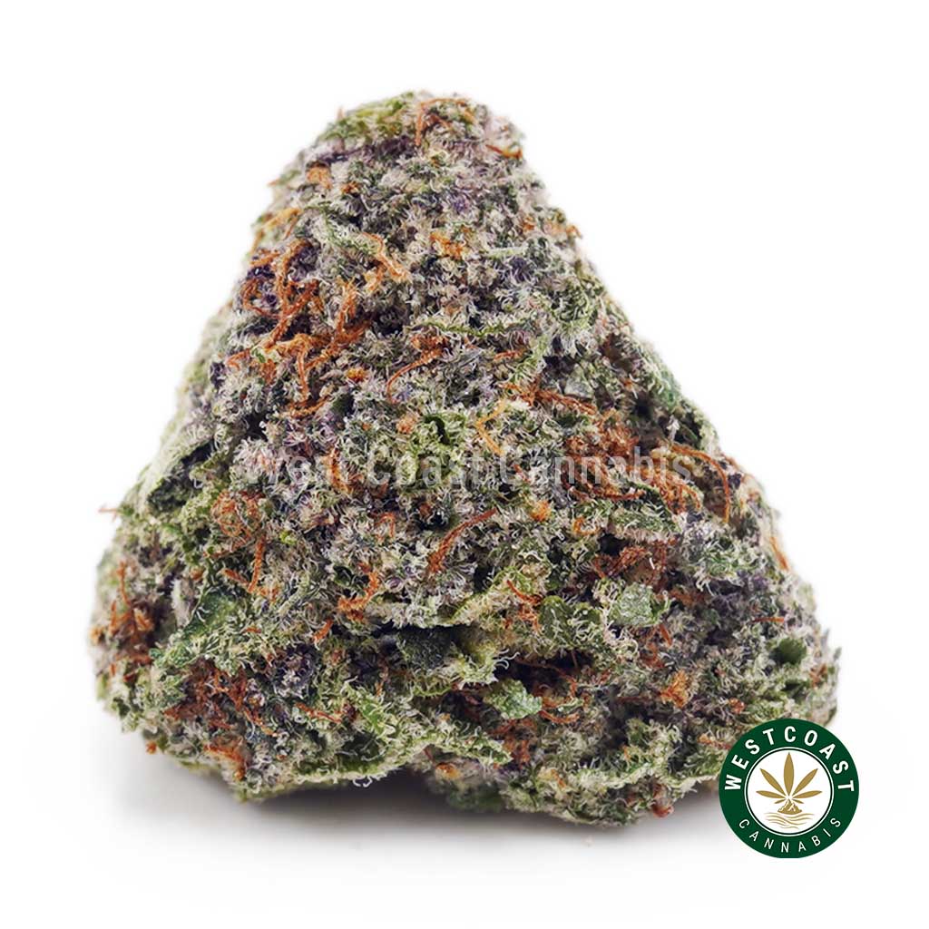 Purple Kush AAA product image