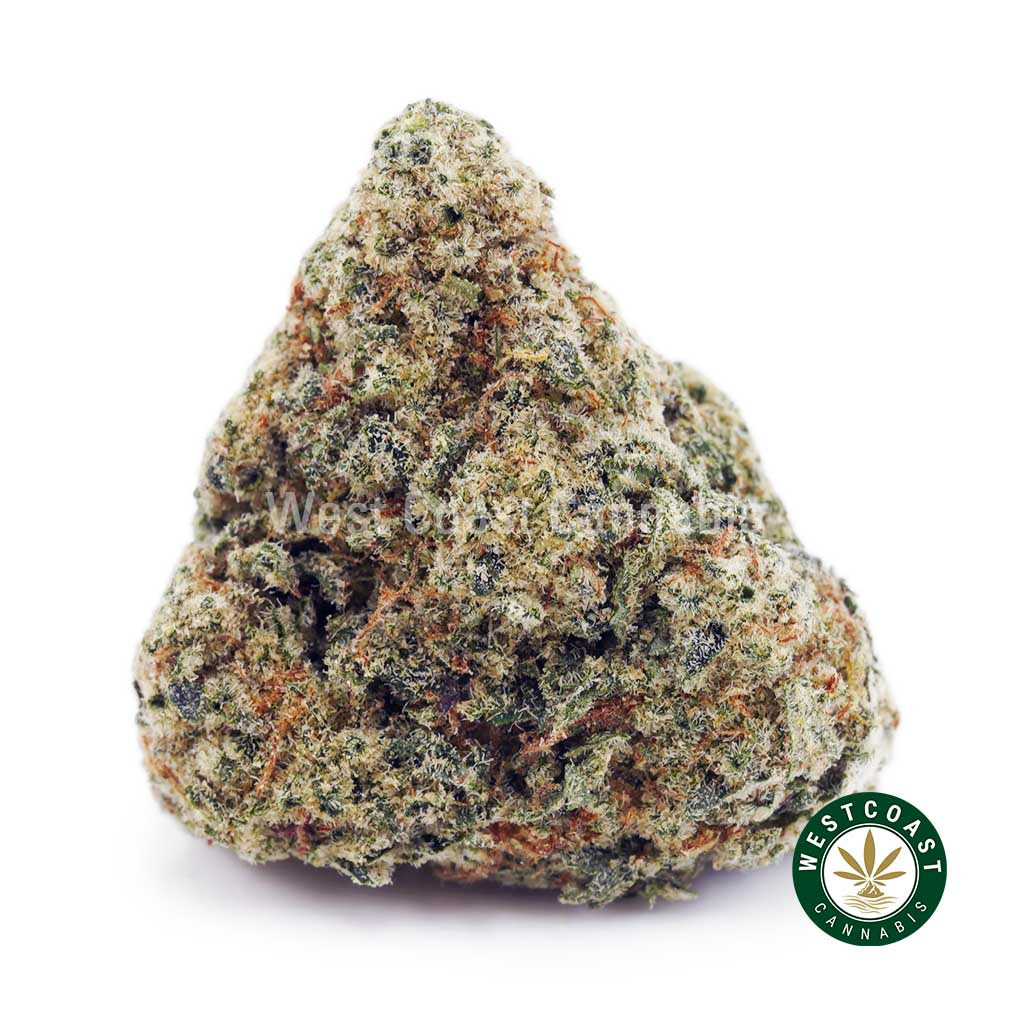 Critical Haze AAAA product image