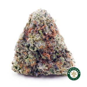 Golden Goat AAAA product image