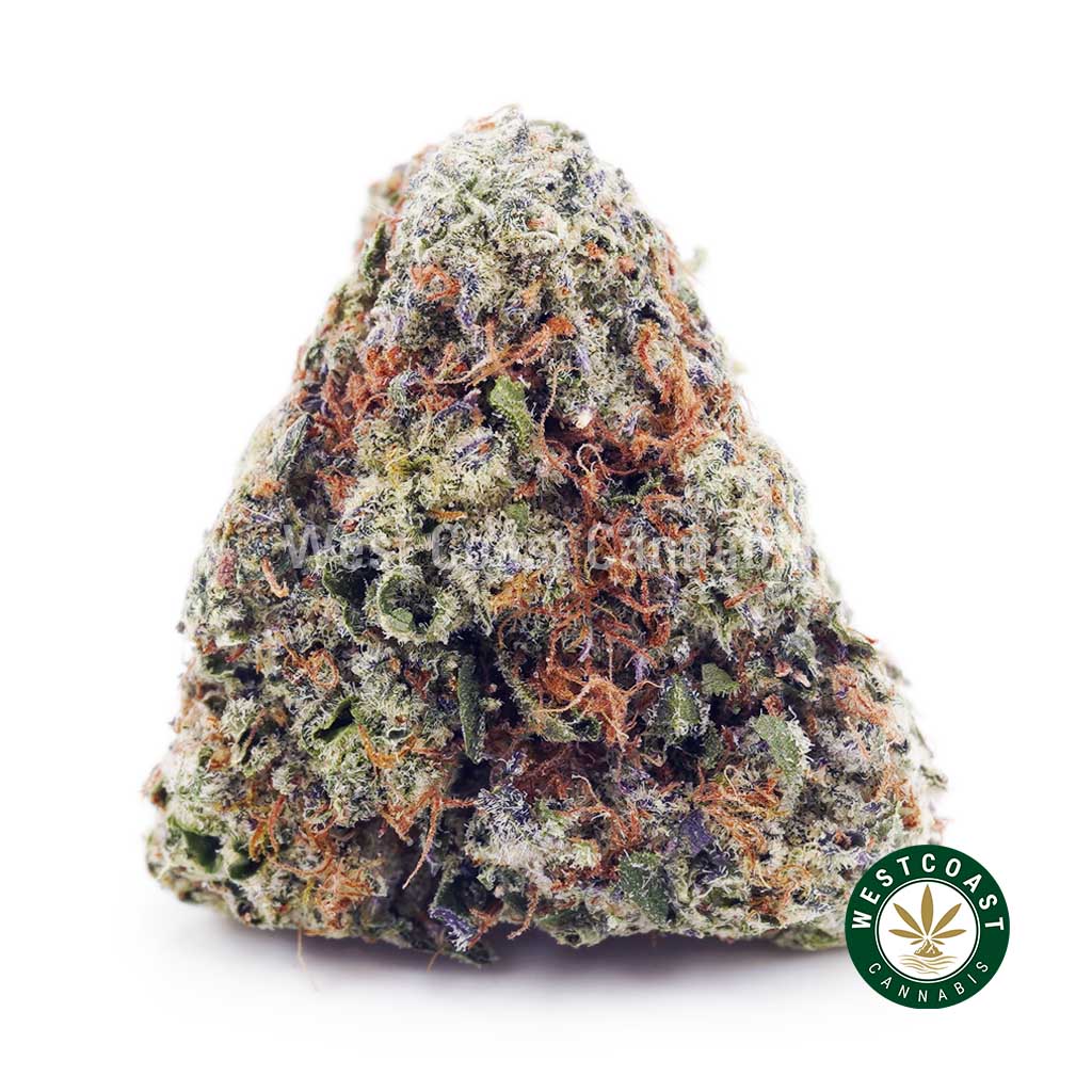 Golden Goat AAAA product image