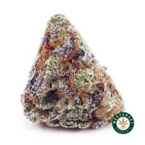 Vanilla Haze AAAA product image