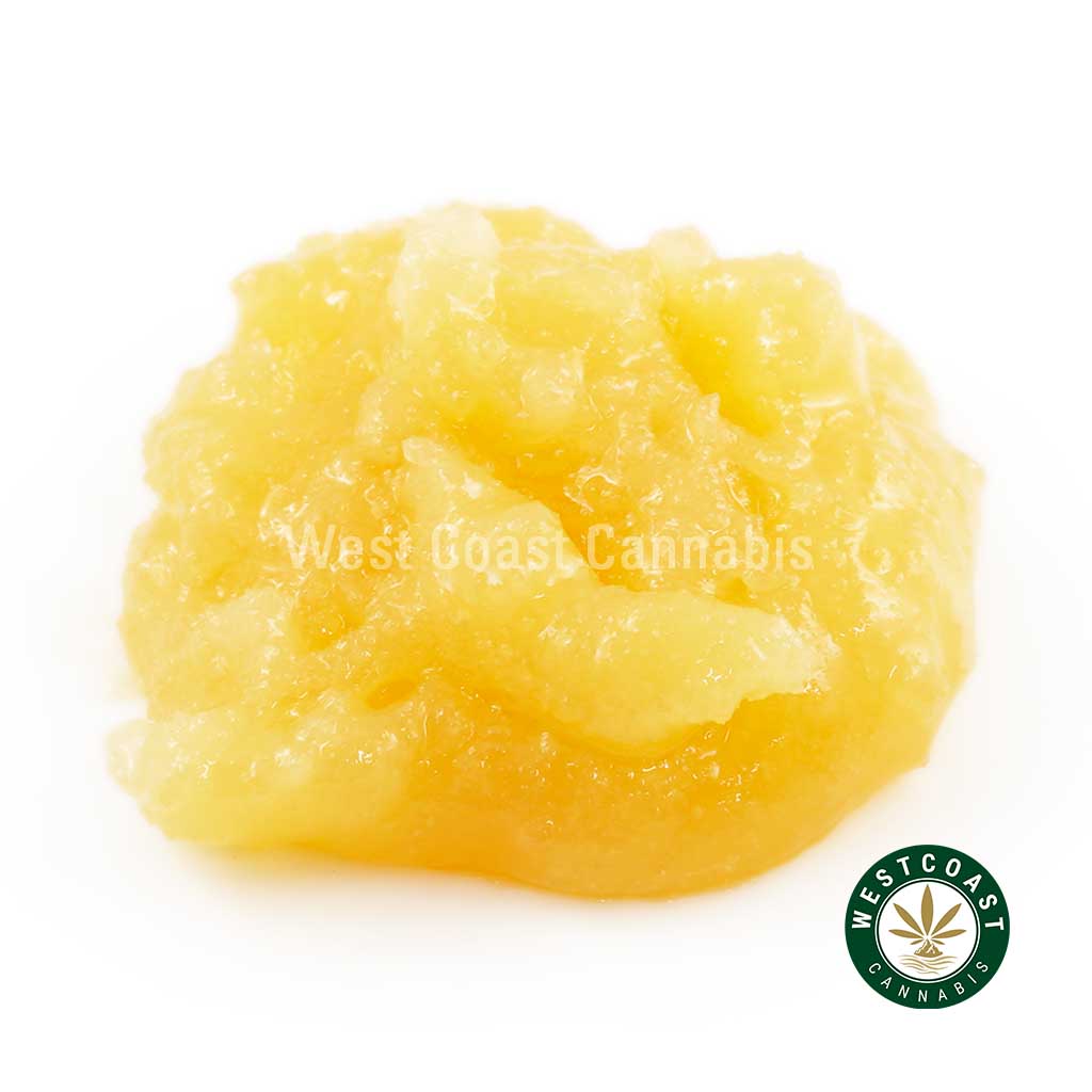 Caviar – Gelato #33 (Hybrid) product image
